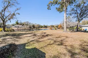 701 Duque Rd, Lutz, FL 33549 - Photo 61