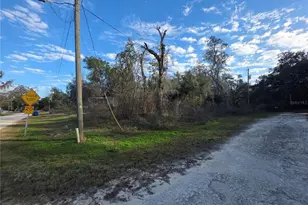 34924 Talisman St, Dade City, FL 33523 - Photo 11