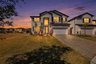 2909 Ivory Bluff Ct, Zephyrhills, FL 33540 - Photo 43