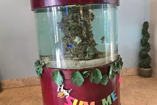 8923 Cuban Palm Rd, Kissimmee, FL 34747 - Photo 75