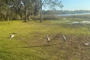 1925 Dockside Dr, Valrico, FL 33594 - Photo 39