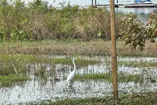 1925 Dockside Dr, Valrico, FL 33594 - Photo 37