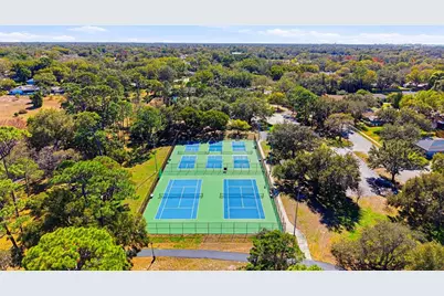 847 Hillside Drive, Palm Harbor, FL 34683 - Photo 79