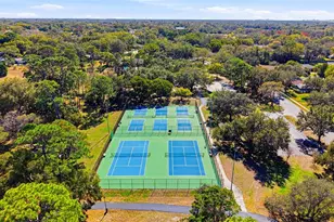 847 Hillside Dr, Palm Harbor, FL 34683 - Photo 79