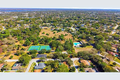 847 Hillside Drive, Palm Harbor, FL 34683 - Photo 81