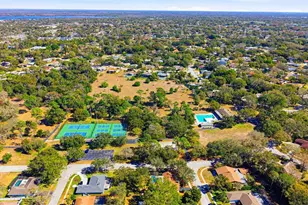 847 Hillside Dr, Palm Harbor, FL 34683 - Photo 81