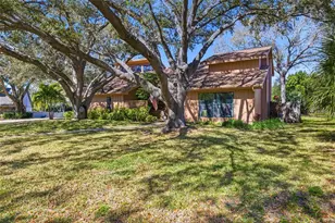 847 Hillside Dr, Palm Harbor, FL 34683 - Photo 5