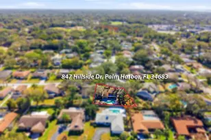 847 Hillside Dr, Palm Harbor, FL 34683 - Photo 63
