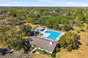 847 Hillside Dr, Palm Harbor, FL 34683 - Photo 77