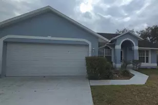 11541 Wellman Dr, Riverview, FL 33578 - Photo 1