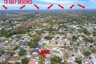 14833 Redcliff Dr, Tampa, FL 33625 - Photo 47