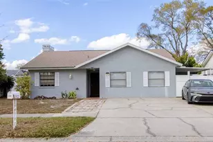 10922 Tail Feather Ct, Tampa, FL 33625 - Photo 3