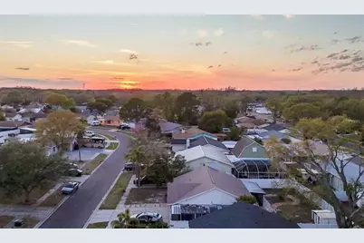 10922 Tailfeather Court, Tampa, FL 33625 - Photo 5