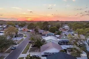 10922 Tail Feather Ct, Tampa, FL 33625 - Photo 5