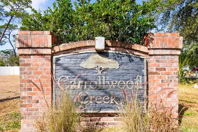 13102 Carrollwood Creek Drive, Tampa, FL 33624 - Photo 3