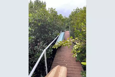 9017 Baywood Park Drive, Seminole, FL 33777 - Photo 91