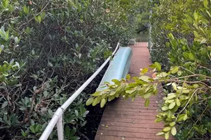 9017 Baywood Park Dr, Seminole, FL 33777 - Photo 91