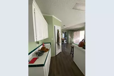 31244 Tyndall Road, Zephyrhills, FL 33545 - Photo 5