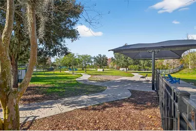 17778 Everlong Drive, Land O Lakes, FL 34638 - Photo 53