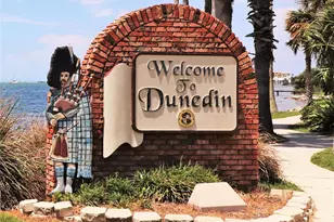 3485 Pine St, Dunedin, FL 34698 - Photo 19