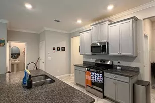 25118 Lambrusco Loop, Lutz, FL 33559 - Photo 3