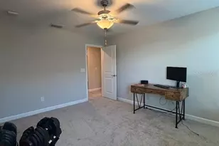 25118 Lambrusco Loop, Lutz, FL 33559 - Photo 19