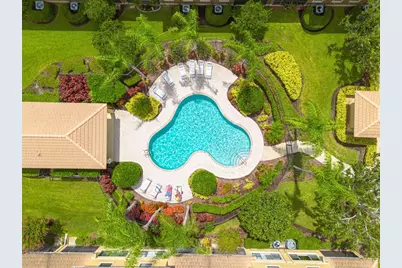 2567 Gloriosa Drive, Palm Harbor, FL 34684 - Photo 33