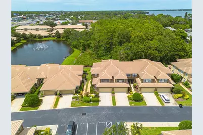 2567 Gloriosa Drive, Palm Harbor, FL 34684 - Photo 31