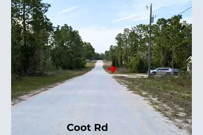 15252 Coot Road, Brooksville, FL 34614 - Photo 9