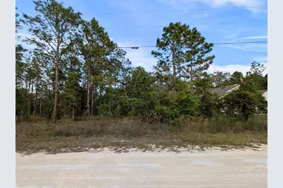 15252 Coot Road, Brooksville, FL 34614 - Photo 3