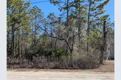 15252 Coot Road, Brooksville, FL 34614 - Photo 5