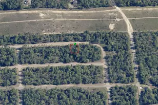 2104 W Wilmington Loop, Dunnellon, FL 34434 - Photo 1