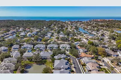 356 Harbor Ridge Drive, Palm Harbor, FL 34683 - Photo 43