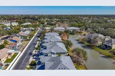 356 Harbor Ridge Drive, Palm Harbor, FL 34683 - Photo 41