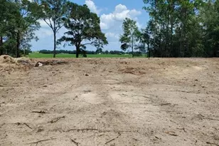 Chilla, Dunnellon, FL 34431 - Photo 1