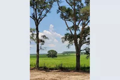 Chilla, Dunnellon, FL 34431 - Photo 3