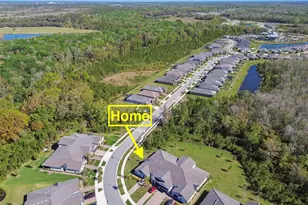 16710 Shell Bay Dr, Land O Lakes, FL 34638 - Photo 43