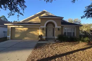 10544 Egret Haven Ln, Riverview, FL 33578 - Photo 1