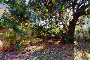 1546 Belleair Rd, Clearwater, FL 33756 - Photo 43