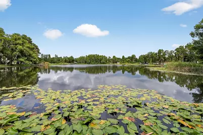 5028 School Road, Land O Lakes, FL 34638 - Photo 39