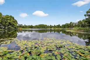 5028 School Rd, Land O Lakes, FL 34638 - Photo 39