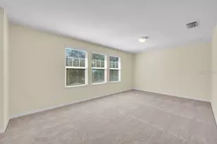 16316 Bayberry View Dr, Lithia, FL 33547 - Photo 25