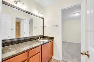 16316 Bayberry View Dr, Lithia, FL 33547 - Photo 29