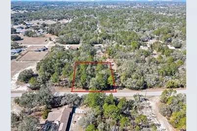 3292 N Annapolis Avenue, Hernando, FL 34442 - Photo 3