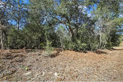 3292 N Annapolis Avenue, Hernando, FL 34442 - Photo 5