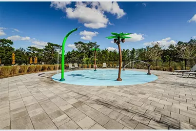 33034 Major Oak Drive, Wesley Chapel, FL 33545 - Photo 43