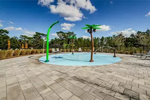 33034 Major Oak Dr, Wesley Chapel, FL 33545 - Photo 43