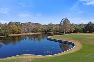 3519 E Links Ct, Palm Harbor, FL 34684 - Photo 33