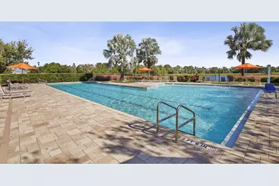 5937 Golden Nettle Drive, Apollo Beach, FL 33572 - Photo 49