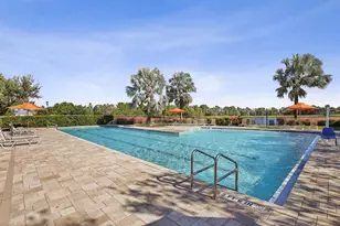 5937 Golden Nettle Dr, Apollo Beach, FL 33572 - Photo 49